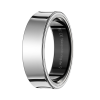 Blaupunkt® Smart Ring Light2 Edelstahl Silber US-12