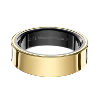 Blaupunkt® Smart Ring Light2 Edelstahl Gold US-7