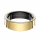 Blaupunkt® Smart Ring Light2 Edelstahl Gold US-7